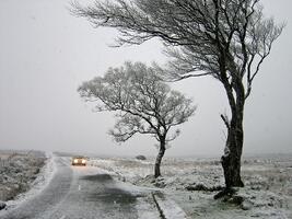 Fuel economy and winter weather image