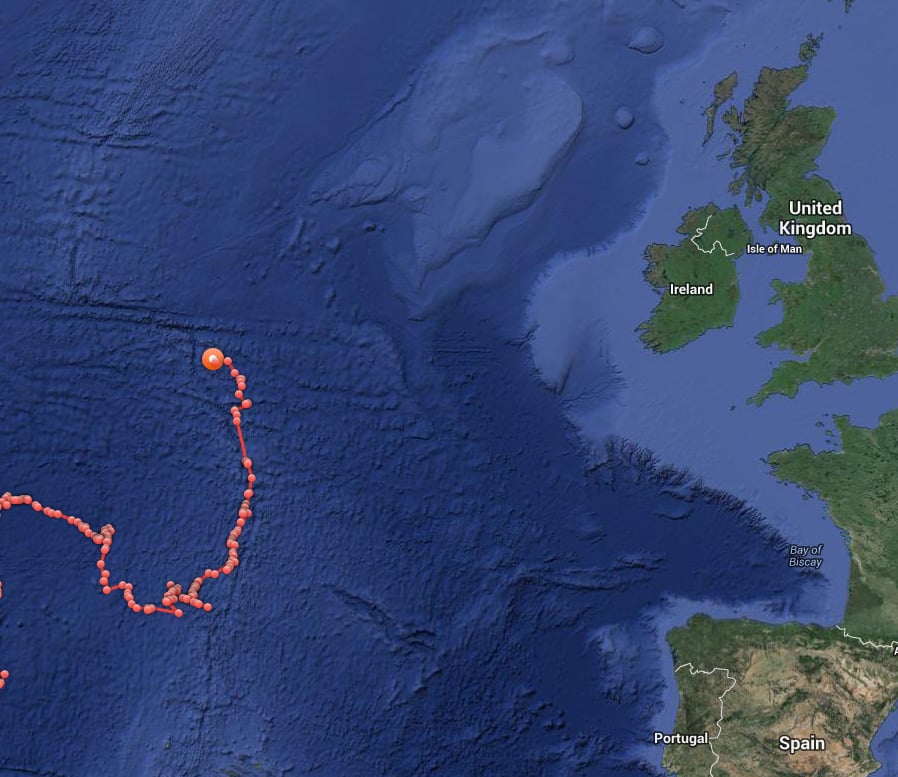 The Great White Shark heading for the UK coastline?