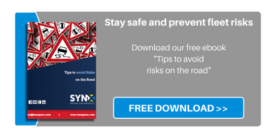 Risks on the Road - FREE ebook