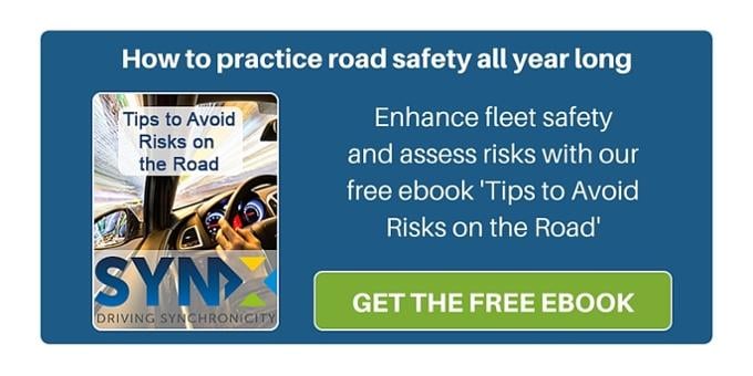 Risks on the Road - FREE ebook