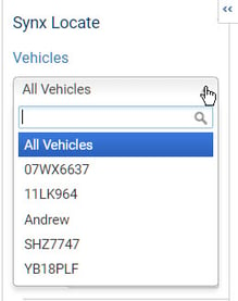 Report Generator - select vehicle