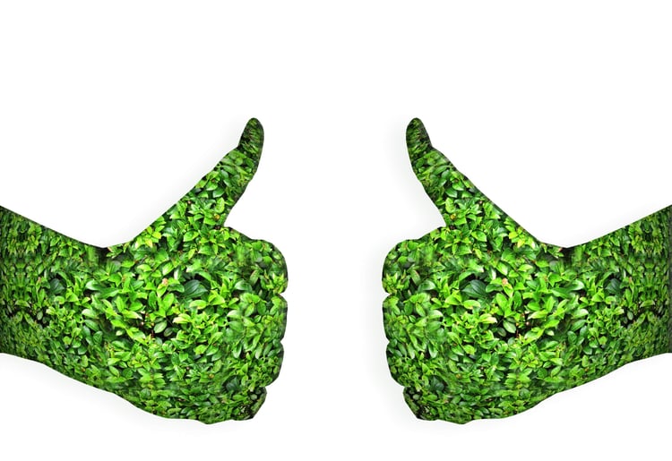 Objectif_CO2-Pour_une_flotte_eco-responsable.jpg