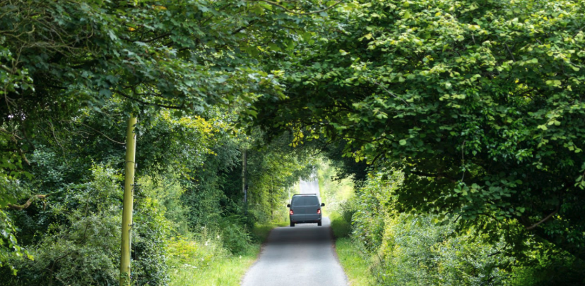Green Ireland rural road