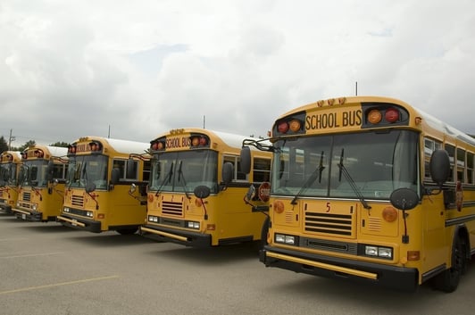 Row of school buses in parking lot-1