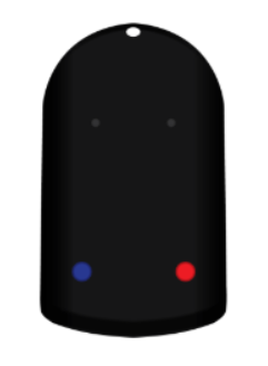 remote
