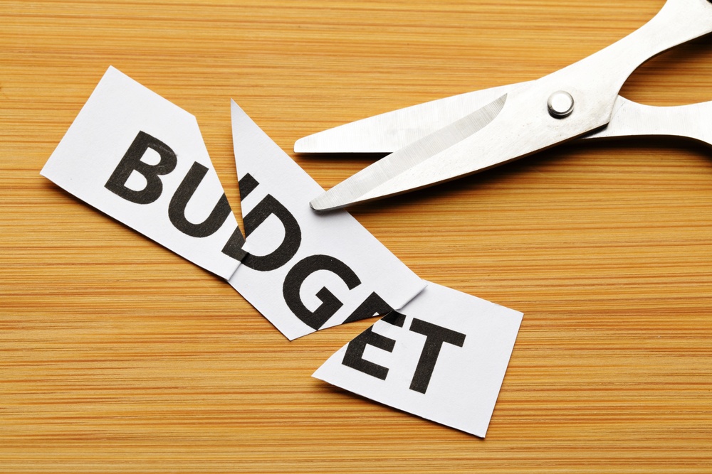   Fleet Year End Budget: what are the trends?