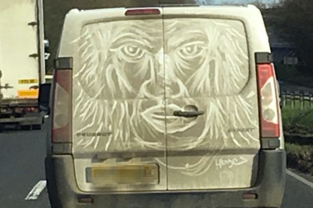 deliveryvans3.jpg