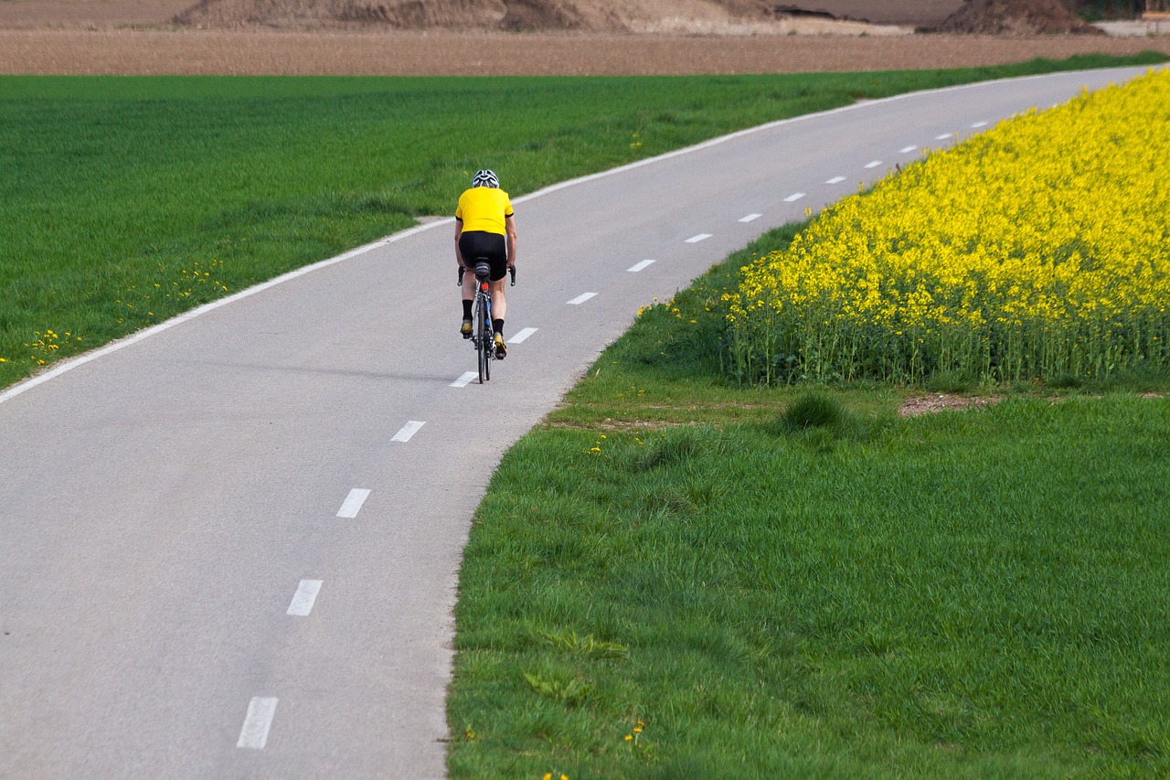 Sharing the road with cyclists: summer road safety tips